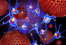 Trastornos autoinmunitarios: sus tipos, factores de riesgo, diagnóstico y más