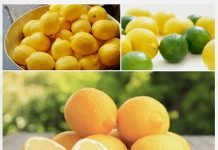 Limón: 12 beneficios para la salud esenciales