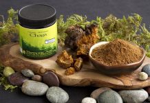 Chaga: beneficios, usos, precauciones y más