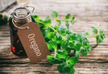 Aceite de orégano: sus beneficios, efectos secundarios, interacciones y más