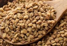 Fenogreco: sus beneficios, propiedades y posibles efectos secundarios