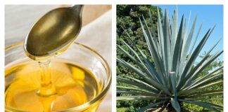 beneficios para la salud del néctar de agave. Datos nutricionales y mucho más