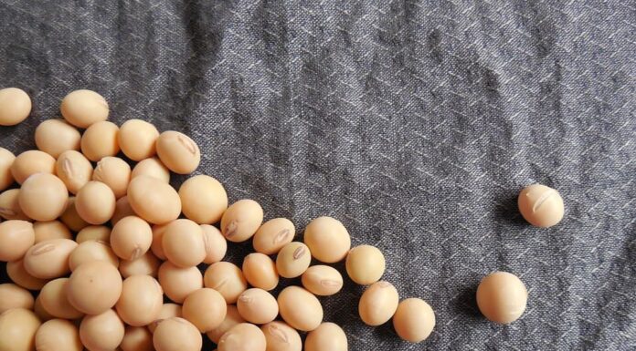 Soja: beneficios para la salud, posibles efectos secundarios y más