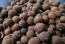 Pimienta de Jamaica: beneficios para la salud, posibles efectos secundarios y más beneficios para la salud de la pimienta de jamaica