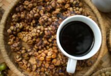 Kopi Luwak: el café más caro del mundo ¿Qué es en realidad?